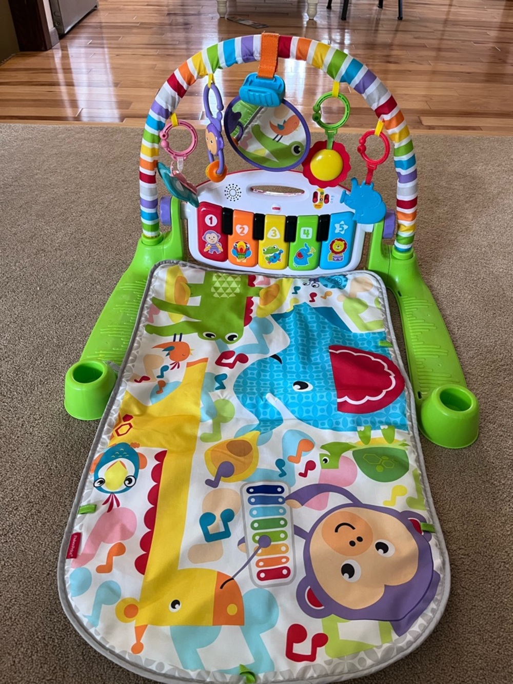 Fisher Price Play mat
